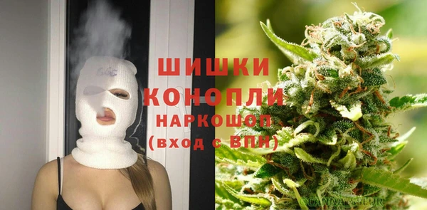 МДПВ Инта
