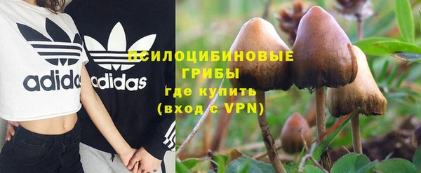 СК Иннополис