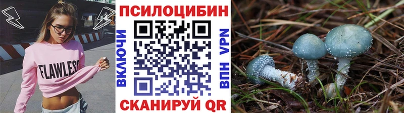 Купить закладки  Горняк  Псилоцибиновые грибы Psilocybine cubensis 