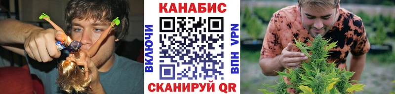Купить где  Горняк  Каннабис гибрид 